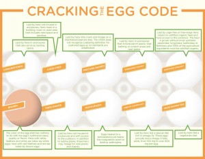 Cracking Egg Code