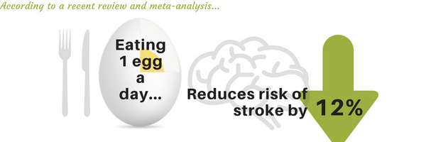 One Egg a Day Reduces Stroke