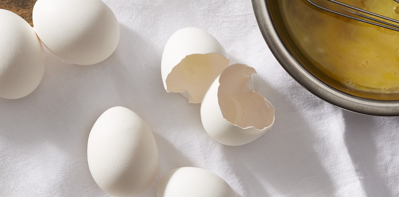 egg shells