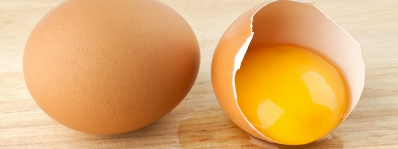 Egg Yolk Fact Fiction
