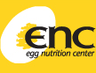 Visit the Egg Nutrition Center Website